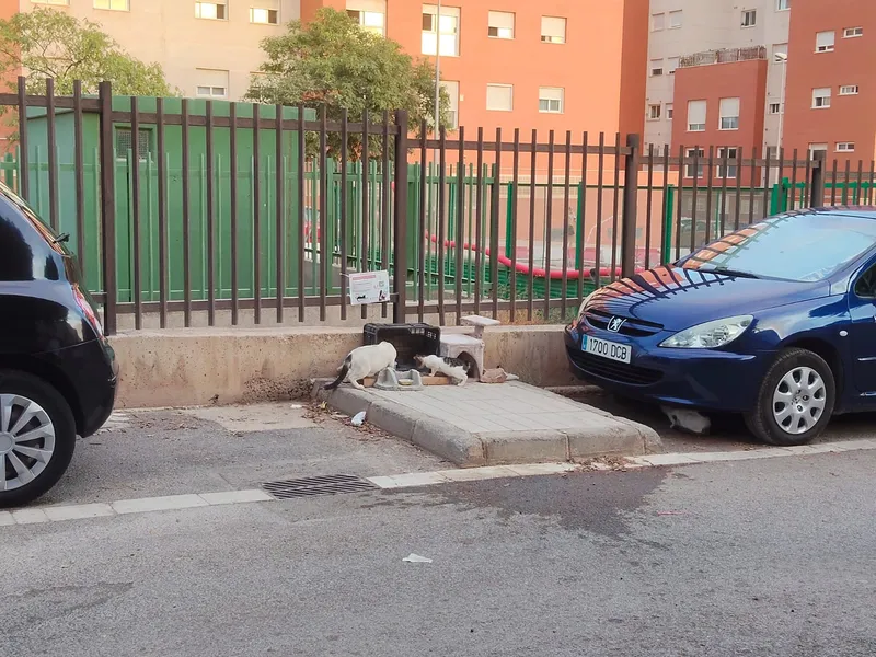 Fotografía 3 de la zona de la colonia felina
