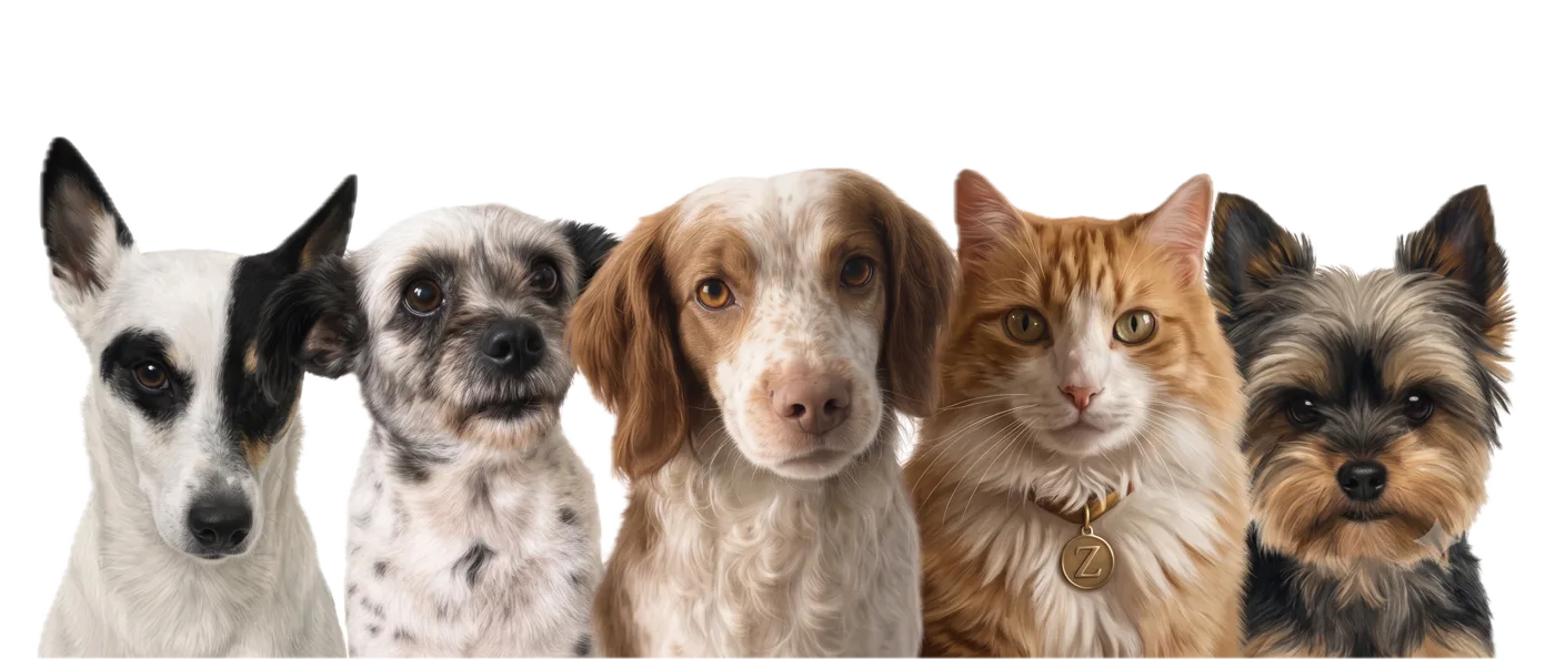La junta directiva de Zeolandia: Bimbi, Chispito, Chocolatina, Oruga y Ladri