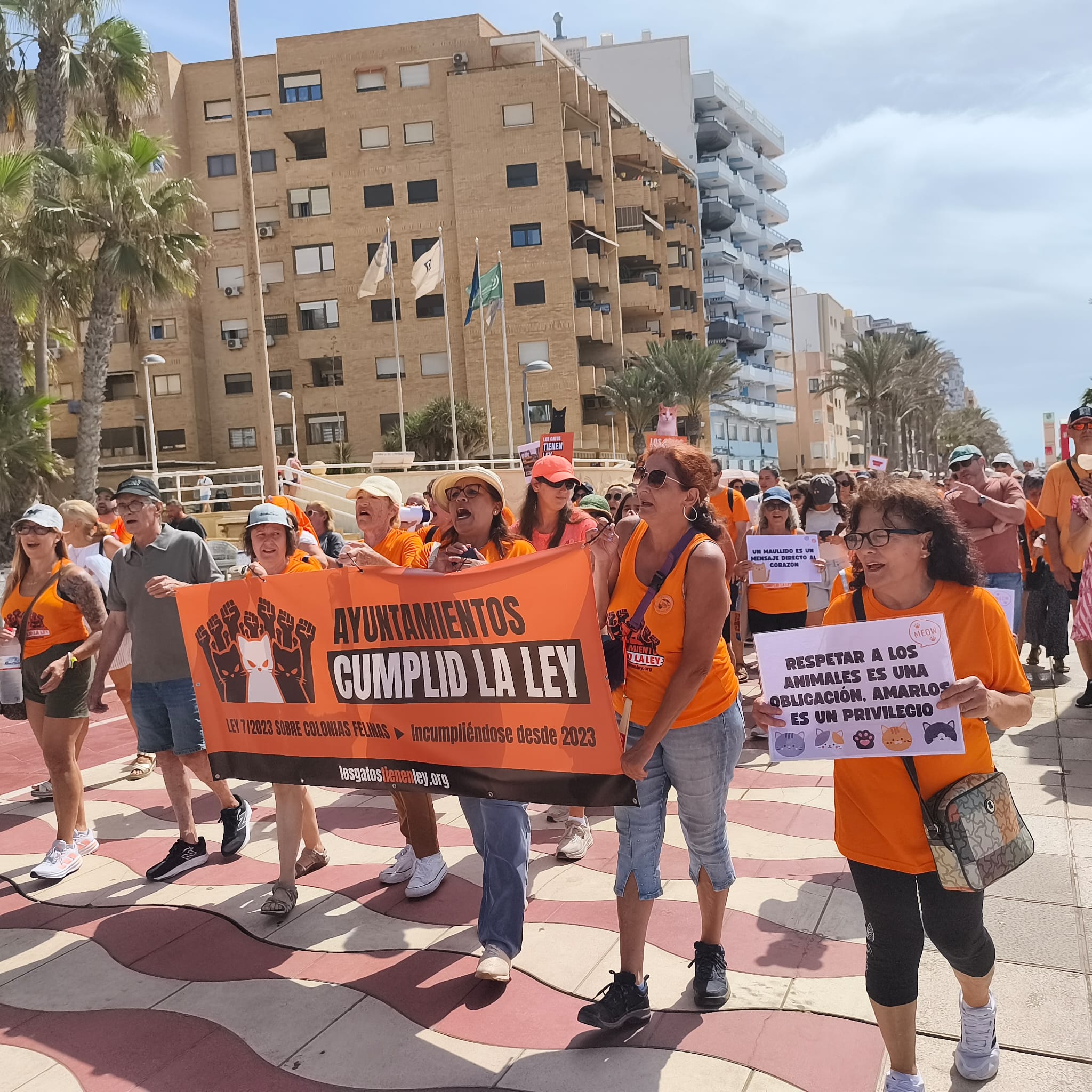 Fotografía de la manifestación del 6 de septiembre por las colonias felinas